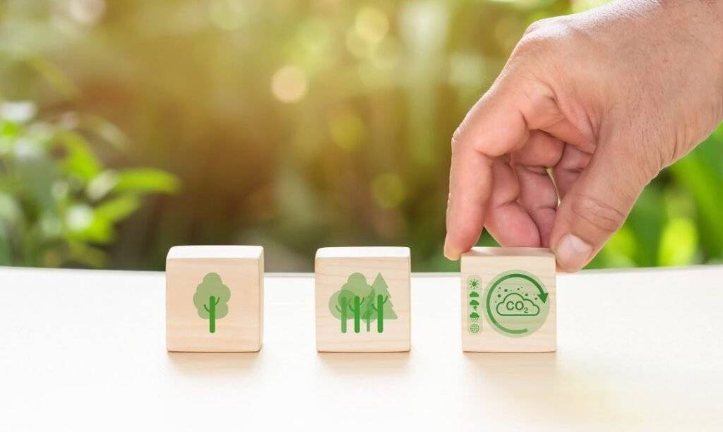 Team preparing documentation and processes for ISO 14001 environmental management certification.
