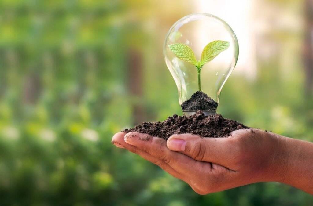 Business professionals implementing ISO 14001 standards to improve environmental responsibility.
